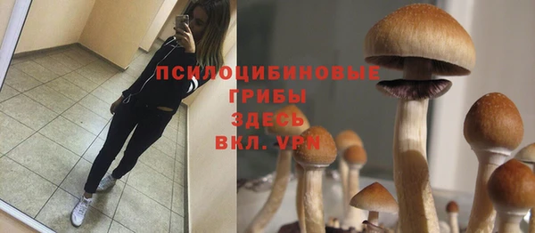 первитин Абаза